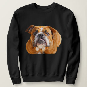Bulldog Face - English Bulldog, Brown Sweatshirt