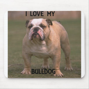 bulldog fawn and white love w pic mouse pad