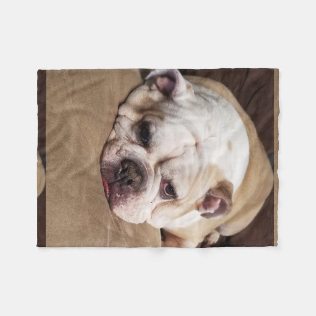 bulldog fleece throw blanket (Front (Horizontal))