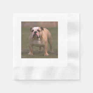 bulldog full 2.png napkin