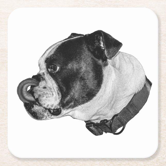 Bulldog Gentle Table Guard Square Paper Coaster (Front)
