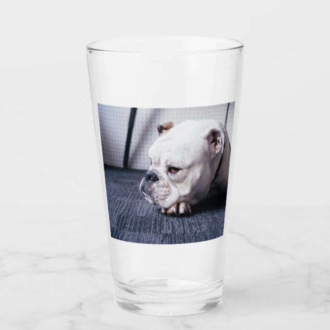 bulldog glass (Front)