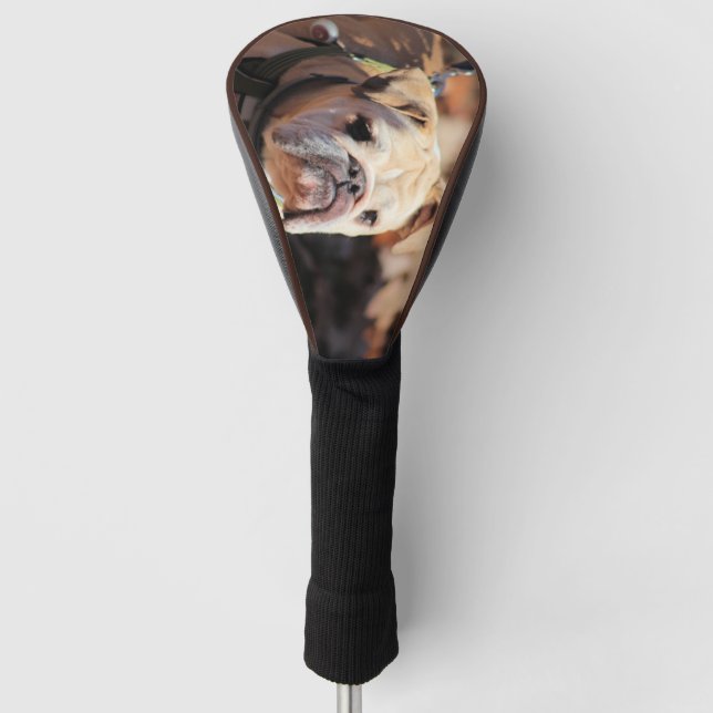 Bulldog Golf Head Cover (Front)