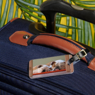 Bulldog Group Sleeping Luggage Tag