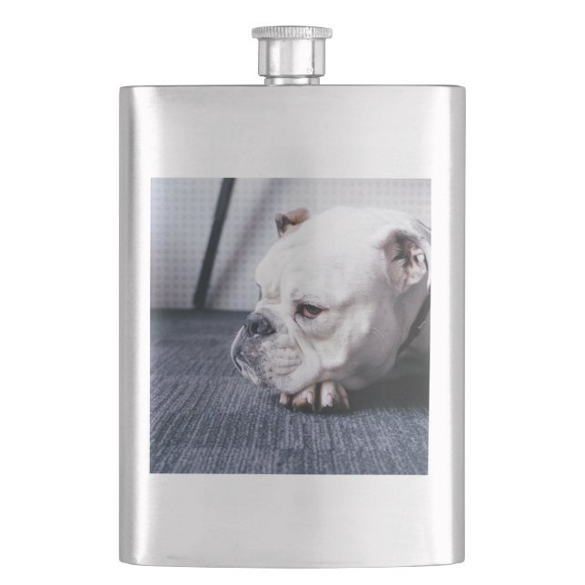 bulldog hip flask (Front)