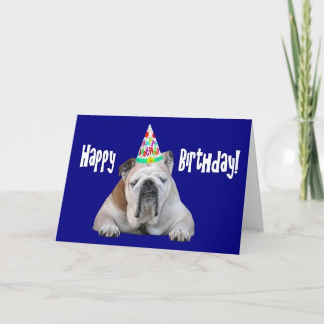 Bulldog in a Birthday Hat Birthday Card (Front)
