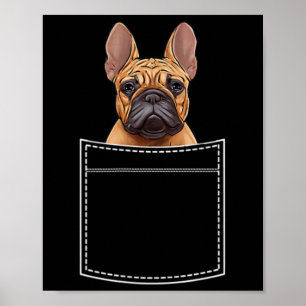Bulldog In Breast Pocket Frenchie Pocket  Poster