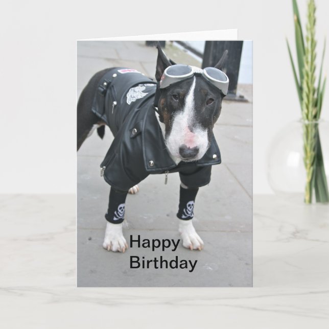 Bulldog in Gothic Outfit Happy Birthday Card (Front)