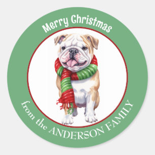 Bulldog in Red and Green Christmas Scarf Classic Round Sticker