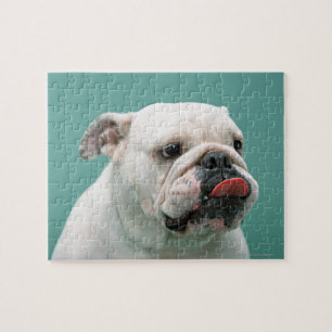 Bulldog Jigsaw Puzzle