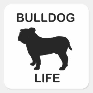 bulldog life square sticker