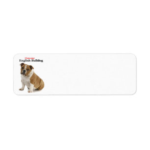 Bulldog Love Return Address Labels