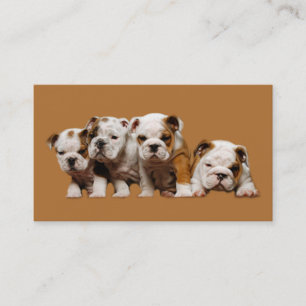 Bulldog Lover Business Card