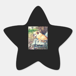 Bulldog Lovers Gifts Sadly Dog Design Star Sticker