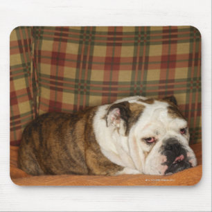 bulldog lying on a sofa mouse pad