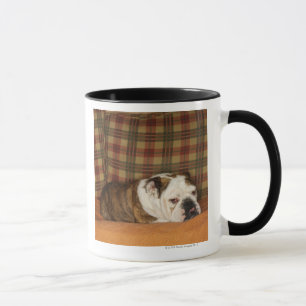 bulldog lying on a sofa mug