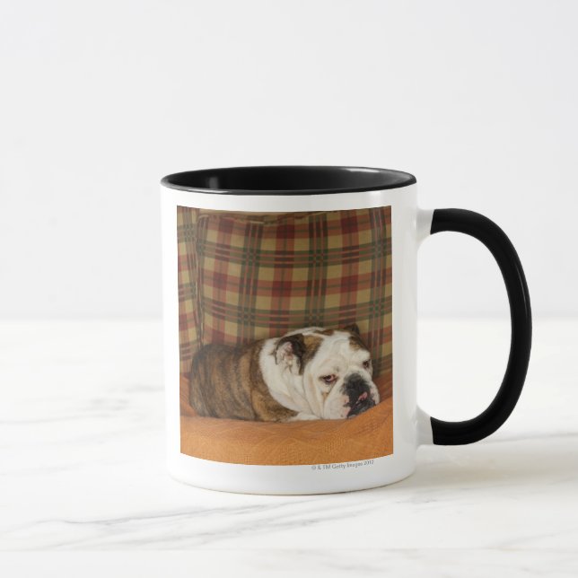 bulldog lying on a sofa mug (Right)