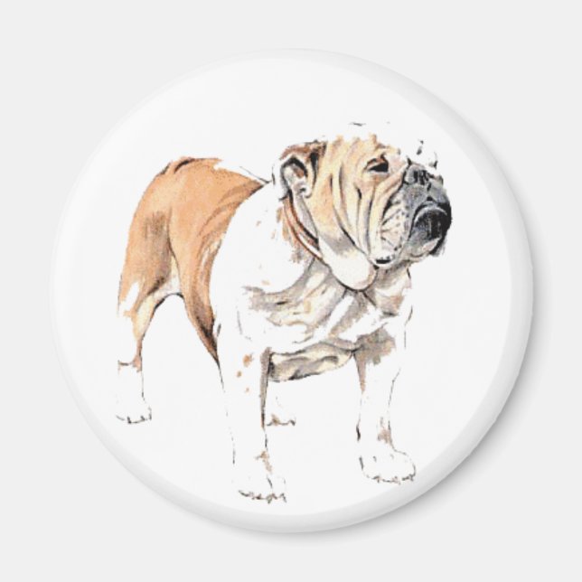 Bulldog magnet (Front)