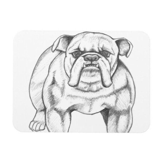 Bulldog magnet (Horizontal)