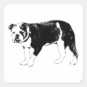 Bulldog Moment, Visual Delight Square Sticker