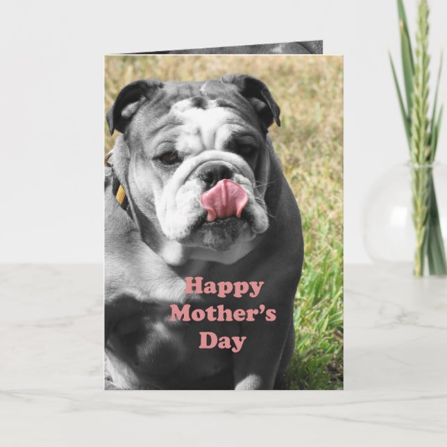 bulldog mother's day card (Front)