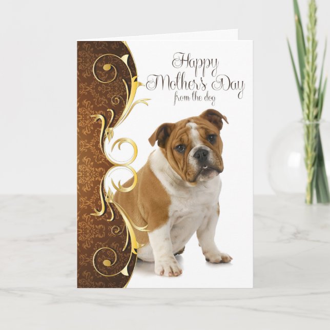 Bulldog Mother's Day Card (Front)