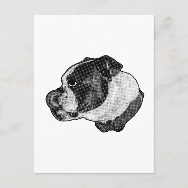 Bulldog Nose-Lick Postcard (Front)