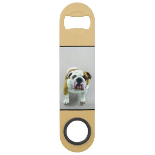 Bulldog Painting - Cute Original Dog Art