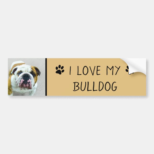 Bulldog Painting - Cute Original Dog Art Bumper Sticker (Front)