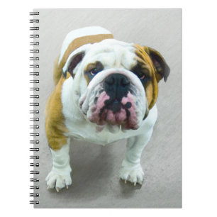 Bulldog Painting - Cute Original Dog Art Notebook