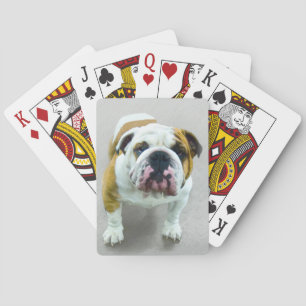 Bulldog Painting - Cute Original Dog Art Playing Cards