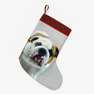 Bulldog Painting - Cute Original Dog Art Small Christmas Stocking