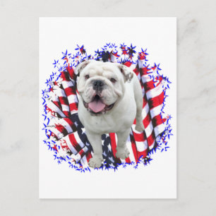 Bulldog Patriot Postcard
