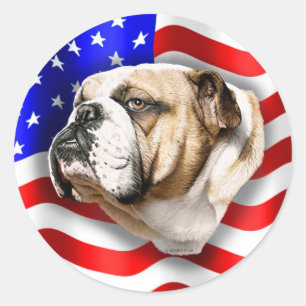 Bulldog Patriot US Flag Classic Round Sticker