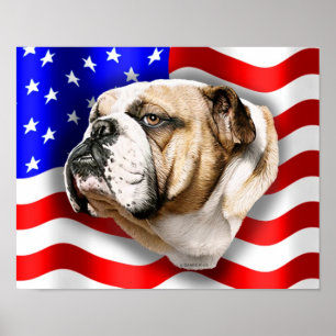 Bulldog Patriot US Flag Poster