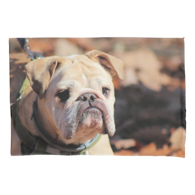 Bulldog Pillowcase (Front)