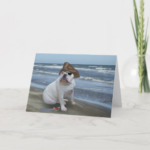 Bulldog pirate greeting card