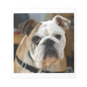 Bulldog.png Notepad