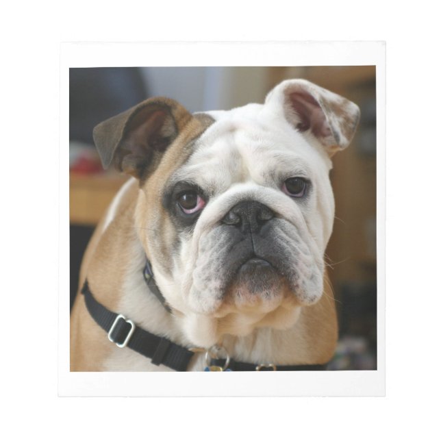 Bulldog.png Notepad (Front)