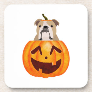 Bulldog Pumpkin     Coaster