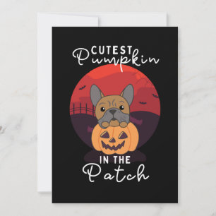 Bulldog Pumpkin Dogs Cutest Pumpkin In The Patch Holiday Card
