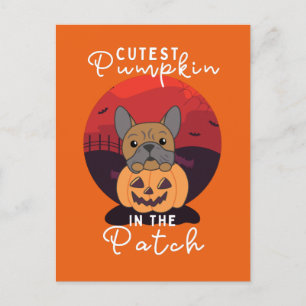 Bulldog Pumpkin Dogs Cutest Pumpkin In The Patch Holiday Postcard