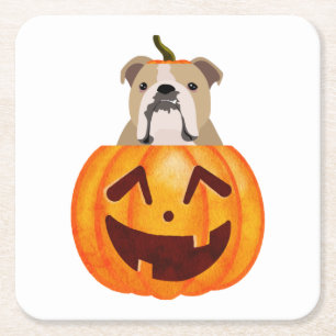 Bulldog Pumpkin Square Paper Coaster