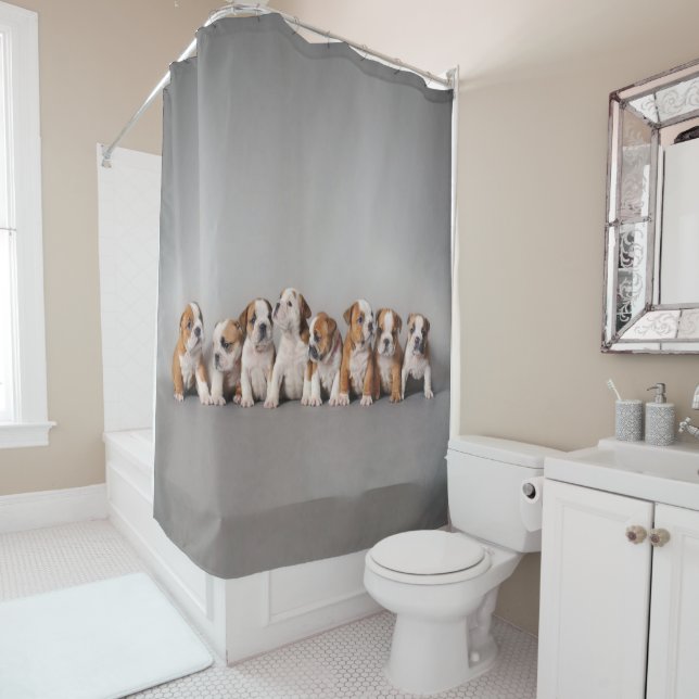 Bulldog Puppies Cute English Bulldog Puppies Shower Curtain (In Situ)