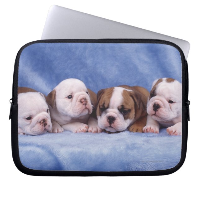 Bulldog puppies laptop sleeve (Front)