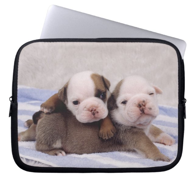 Bulldog Puppies Laptop Sleeve (Front)