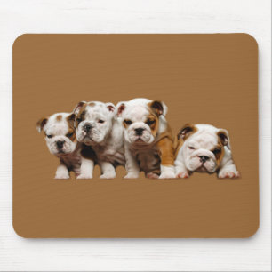 Bulldog Puppies Mousepad