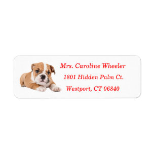 Bulldog Puppy Dog Return Address Red Name Label