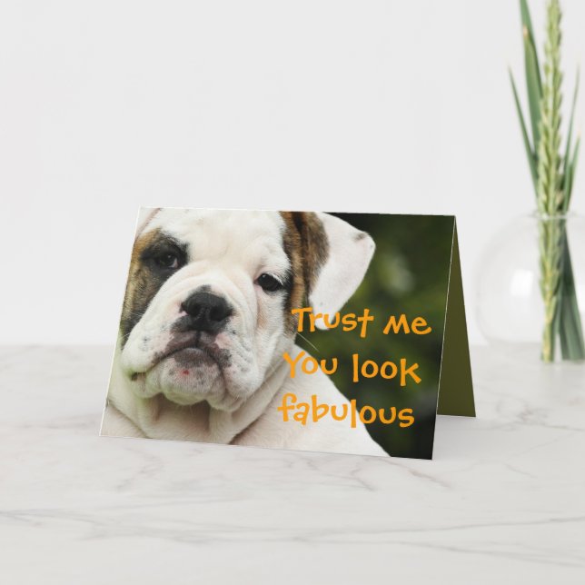 Bulldog puppy funny aging birthday card (Front)