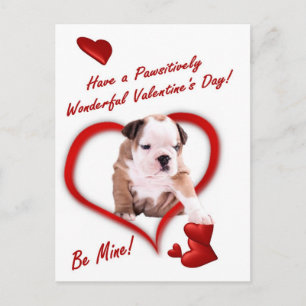 Bulldog Puppy Love In An Envelope Postcard
